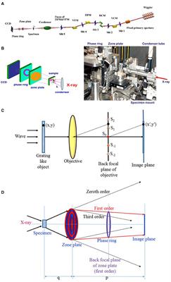 In-Situ Transmission X-Ray Microscopy Probed by Synchrotron Radiation for Li-Ion Batteries